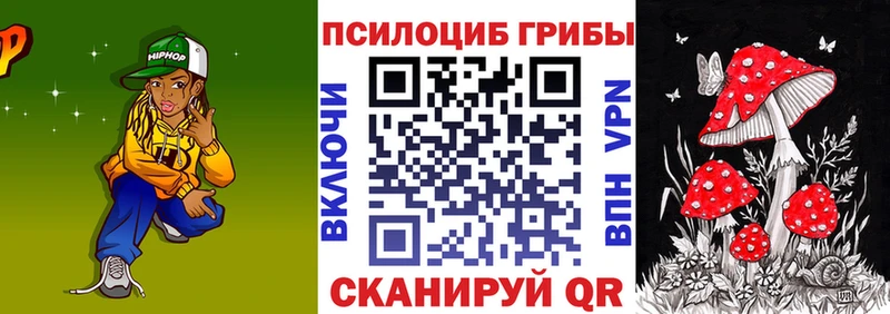 Псилоцибиновые грибы Psilocybe  Купить закладки  Новотроицк 